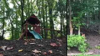 Carderock Springs Fall 2017 Movie