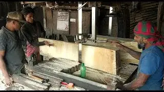 Lots of Mango Tree Cutting in Sawmill Bangladesh, Asia || Mango Wood Cutting Expert