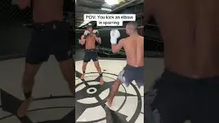 POV: You kick an elbow in sparring