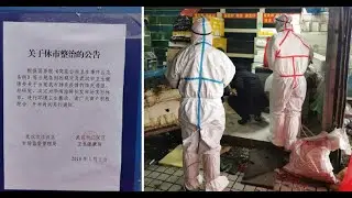 全城恐慌 SARS病源曝光？武汉海鲜市场暗卖活野味