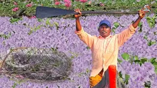 മീൻ കിട്ടും പക്ഷെ ഇവിടെ പോകണമെങ്കിൽ അല്പം ധൈര്യം കൂടി വേണം |Earth Lovers Media|Real life vlog