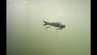 NEW 3.5