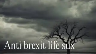 Anti brexiter life SUX