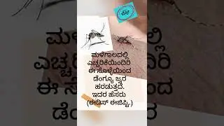 ಡೆಂಗ್ಯೂ ಸೊಳ್ಳೆ #Aedes Aegypti #shorts #vairalshort #vairalvideo #shortsfeed @deepakBrotalks