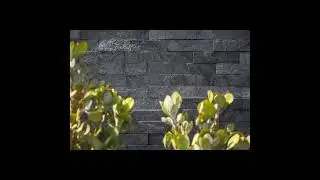 Black quartzite wall cladding