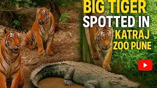 Snake Park Katraj Pune | Rajiv Gandhi Zoological Park | Katraj Zoo |