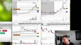 going over my MGOL loss today 'merp''