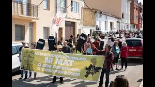 Un clam contra els megaprojectes e&ograve;lics i fotovoltaics a la comarca dels Ports