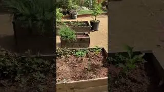Garden Bed Inspiration, Part 1, ​⁠ @Barelygardening #ediblegardening #gardening, #inspire