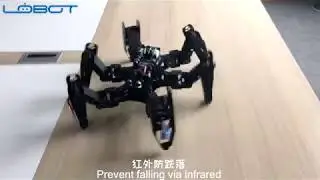 CR 6 Hexapod robot demo video