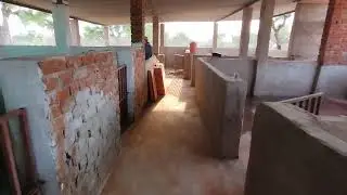 Red stone in pig farm #trending #pig #youtubeshorts #ytshorts #viralreels #viralvideo #construction