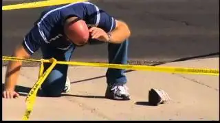 Fatal pedestrian accident
