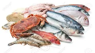 Seafood Exporting Factory
