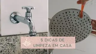 5 DICAS DE LIMPEZA EM CASA - Para facilitar a vida - Banheiro e Cozinha