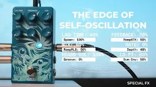 Rilum Multi-head Delay - Special FX Licks Demo | KLOWRA