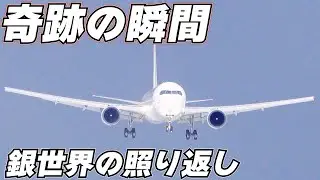 【奇跡の瞬間】大雪の出雲空港が美しすぎて言葉を失った出雲空港で撮れた最高の一枚