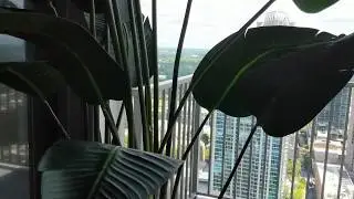The Sky Lounge at The VUE Charlotte