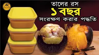 তালের রস ১ বছর সংরক্ষণ করার পদ্ধতি (টিপস সহ )  Taler Ros collected /Taler Pulp / Traditional Recipe 