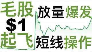 第69期「幂笈投资」暴涨王者REZZF，单日大涨100% | 介绍一支一元毛股，最近将会放量爆发，适合短线 | Assertio | ASRT Stock
