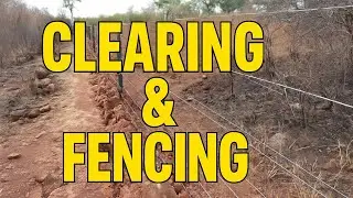 Clearing & Fencing Progress on Our New Homestead Land | Big Changes Already