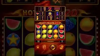 HOT FRUITS-X-100