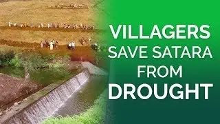 Villagers Save Satara From Drought | Water Conservation In Maharashtra