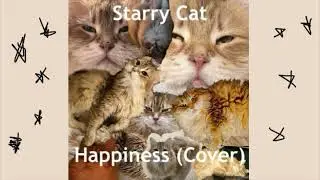 Starry Cat &mdash; Happiness (with the boys)