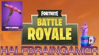 FortNite Battle Royal // Interactive Streamer // 100+ Wins // BLITZ