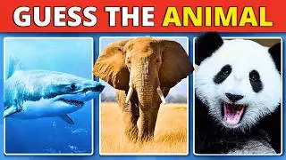 Guess The Animal Quiz 🐾 | 80 Animals | Easy to Impossible