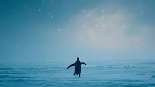 THE VIRAL PENGUIN STORY || NIHILIST PEMGUIN EXPLAINED