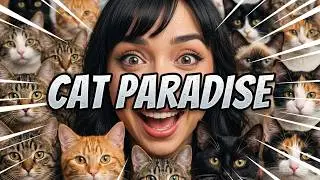 PURR VIDA LOUNGE SILENT CAT CAFE SLIDE SHOW GUEST