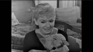 Shari and Lamb Chop Trailer | SVJFF