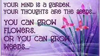 A confused mind is a sinful mind that need help from God.