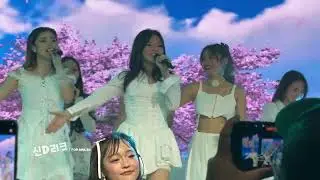 251223 MNL48 - Talulot ng Sakura (Sulong Ppop Concert)