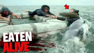 These Shipwreck Survivors Get Eaten Alive By Sharks One By One!
