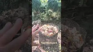 My Simple and Effective Backyard Composting System, Soil Machine of Nutrients!