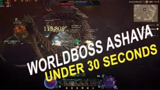 Diablo 4 KILL a World Boss Ashava Under 30 seconds