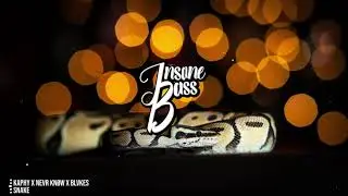 Kaphy x NEVR KN&Oslash;W x BLVKES - Snake (Bass Boosted)