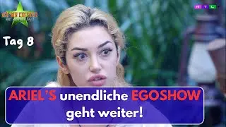 Update Video - Dschungelcamp - Tag 8, Der erste Rauswurf & Ariel will es nicht verstehen