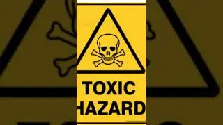 Is The Jade Plant Toxic to Humans and Pets? 4 Facts You Need To Know Before You Have It (2023)