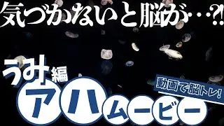 【脳トレ】波間に消える違和感を見抜け!!【アハムービー】