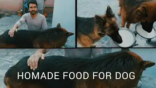 Best homade food for dog || german shepherd food tips 😋 