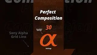 Sony Alpha Settings | Perfect Composition Tips in Malayalam | Photography Guide |Grid Lines 📐