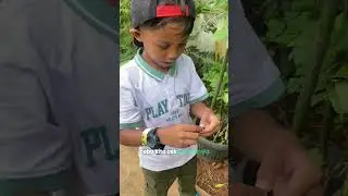 FULL VIDEO Reiner’s Journey Goes to Butterfly Garden at Aviary Park Bintaro