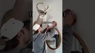 Ученые предупреждают: светодиодное освещение вредит биологии человека.