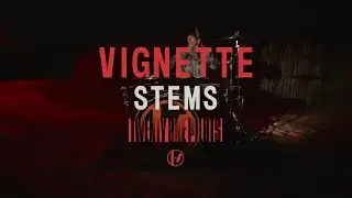 twenty one pilots - Vignette (Stems)