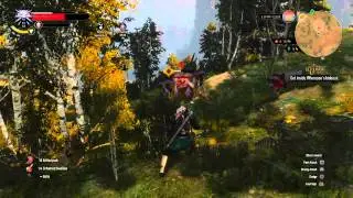 If you get cocky it'll bite you in the ass - The Witcher 3: Wild Hunt - PS4