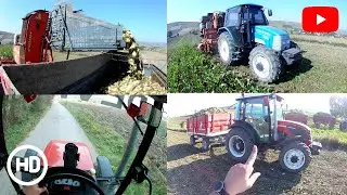 BAŞTAN SONA PANCAR HASADI || PANCAR VLOG #1