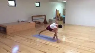 Surya Namaskar with certified Iyengar Yoga teacher, Gary Jaeger.