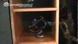 SALA EL FAROL 2